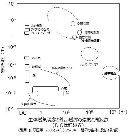 磁場影響|磁場の生体影響研究の必要性｜国環研ニュース 9巻｜国立環境研 